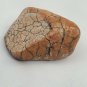 Snake Head Shaped Rock Stone Naturally Formed with Cracking Orange Red Brown 78g