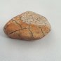 Snake Head Shaped Rock Stone Naturally Formed with Cracking Orange Red Brown 78g