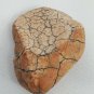 Snake Head Shaped Rock Stone Naturally Formed with Cracking Orange Red Brown 78g