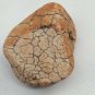 Snake Head Shaped Rock Stone Naturally Formed with Cracking Orange Red Brown 78g