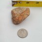 Snake Head Shaped Rock Stone Naturally Formed with Cracking Orange Red Brown 78g