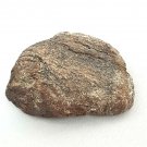 Oolite Stone Fossil w/ Bead Vein Layers Worm Insect Ancient Lake Bed 100g Rough