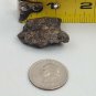 Ancient Primitive Arrowhead Shaped Rock Rough Tip and Barbs