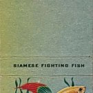Vintage 1957 Matchbook Cover Ohio Blue Tip Siamese Fighting Fish Front Strike