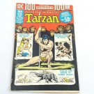 DC 100 Page Super Spectacular #19 Russ Manning Tarzan Aug 1973