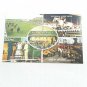 VTG Multi View Postcard Irish Sweeps Drum Drawing A Horse Hospitals Sweepstakes