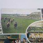 VTG Multi View Postcard Irish Sweeps Drum Drawing A Horse Hospitals Sweepstakes