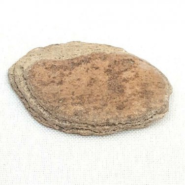 Raw Rough 10g Stone Rock Sandstone Showing Layers Red Brown Tan Ancient Lake Bed