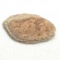 Raw Rough 10g Stone Rock Sandstone Showing Layers Red Brown Tan Ancient Lake Bed