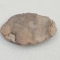 Raw Rough 10g Stone Rock Sandstone Showing Layers Red Brown Tan Ancient Lake Bed