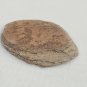 Raw Rough 10g Stone Rock Sandstone Showing Layers Red Brown Tan Ancient Lake Bed