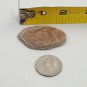 Raw Rough 10g Stone Rock Sandstone Showing Layers Red Brown Tan Ancient Lake Bed