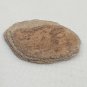 Raw Rough 10g Stone Rock Sandstone Showing Layers Red Brown Tan Ancient Lake Bed
