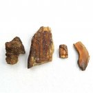 Petrified Wood Rough Smalls 4 Piece Lot Knot Round Branch Cambium Bark 34g Idaho