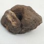 Interesting Curled Round Sedimentary Rock Specimen with Pit Eye Shaped Oolite