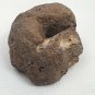 Interesting Curled Round Sedimentary Rock Specimen with Pit Eye Shaped Oolite