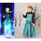Grils Frozen Princess Snow Queen Elsa Costume Dress b 4-5Y