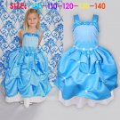Blue Frozen Princess Snow Queen Girl Costume Dress Size 5/6