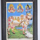 Holy Cow All Gods Rare Old Religious Print in Old Wooden Frame India Art #3136