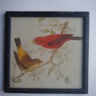 Birds Sparrows Old Original Hand Colour Painting in Old Wooden Frame #2797