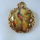 Peacock vintage art print image charm cabochon diy jewelry making