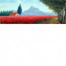 Andean scenery
