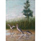 Liclics (Bird)