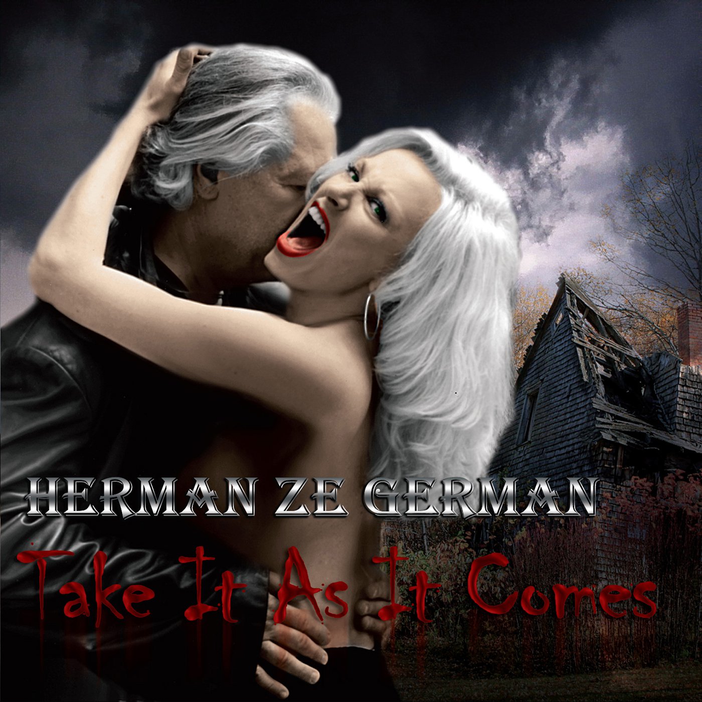 Take It As It Comes by Herman Ze German USB Wristband