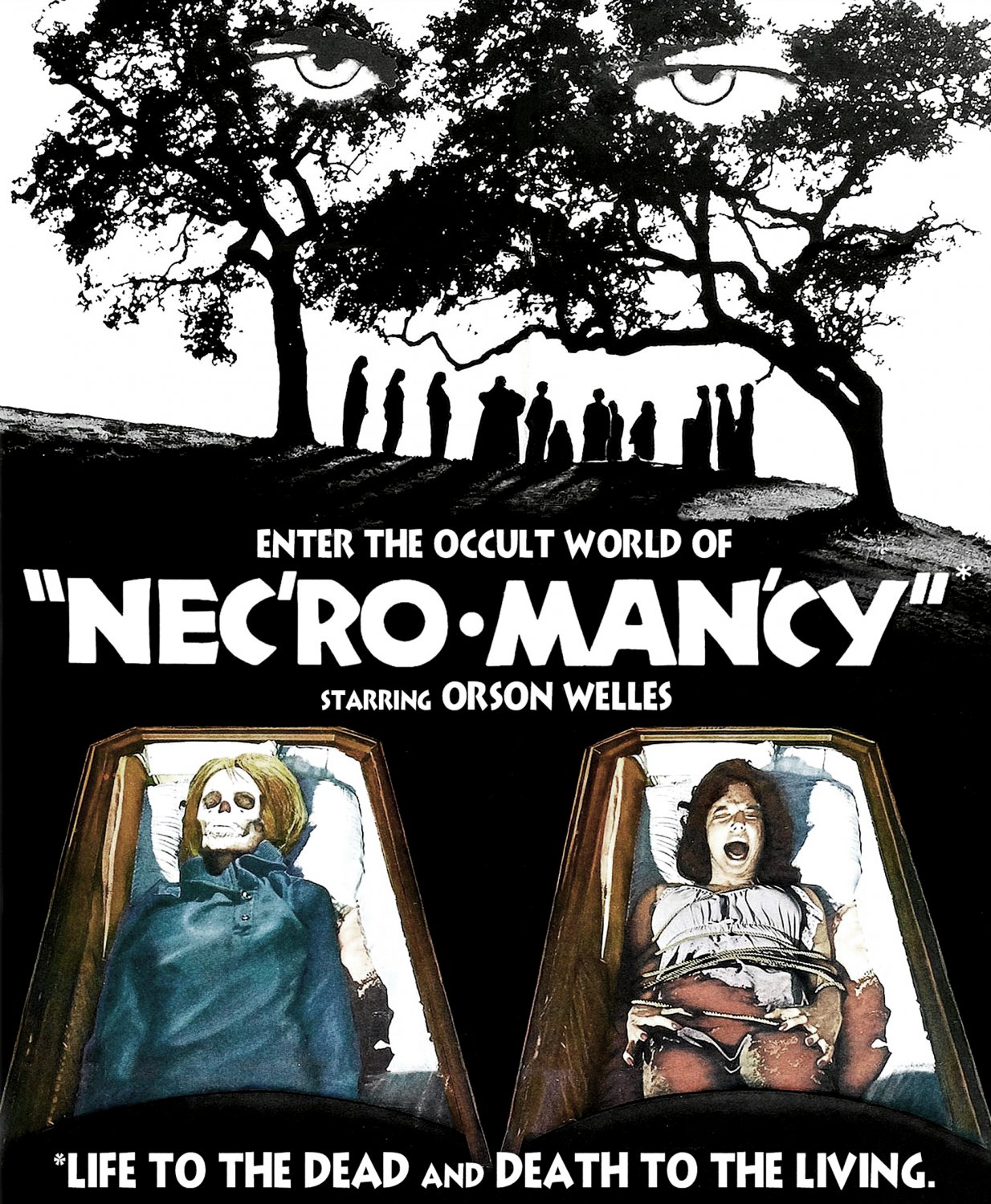 Necromancy (DVD)