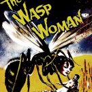 The Wasp Woman (DVD)