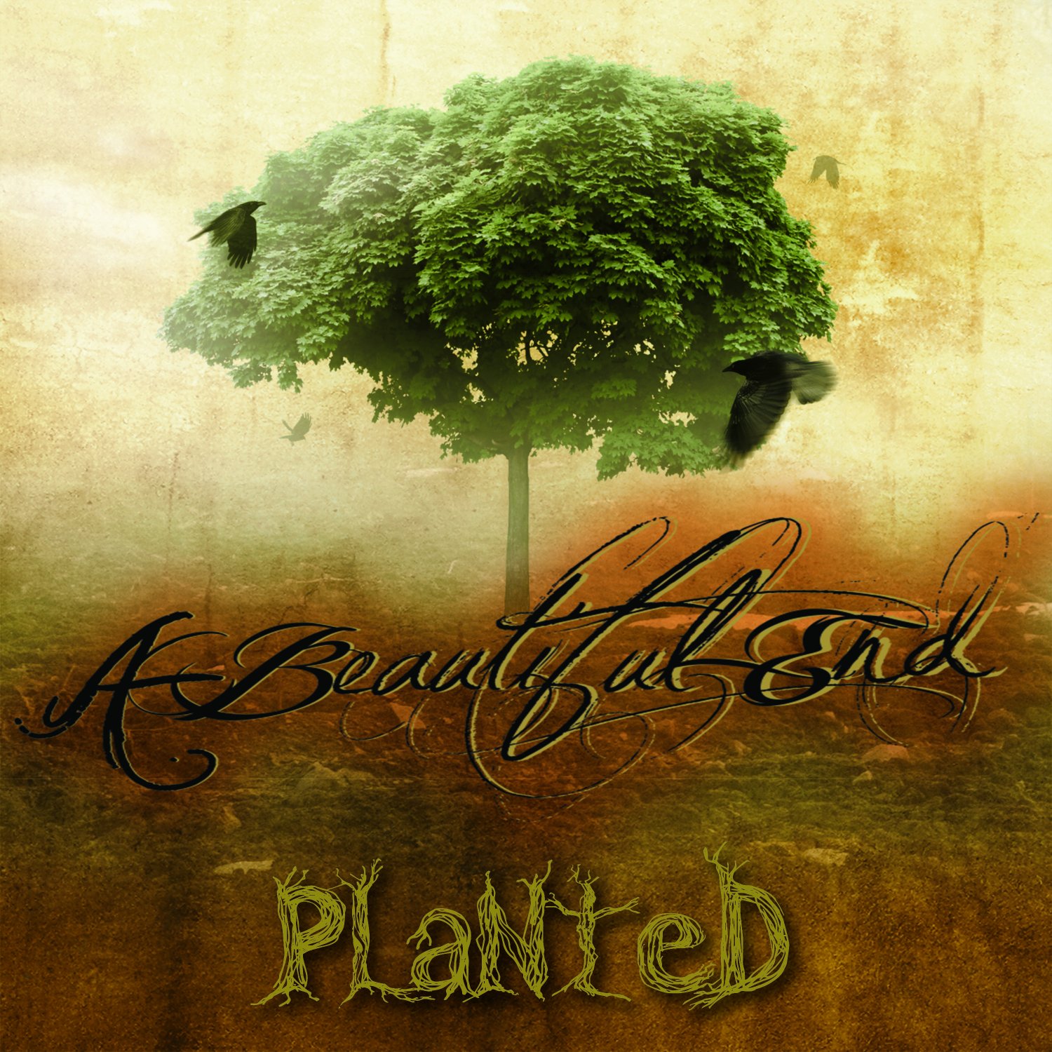 Planted by A Beautiful End USB Wristband