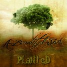 Planted by A Beautiful End USB Wristband