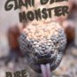 The Giant Gila Monster (USB) Flash Drive