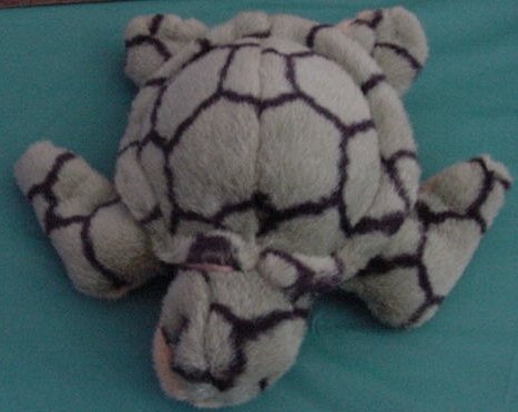 aurora stuffed turtle