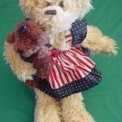 Oriental Trading Patriotic Dress Bear Stuffed Plush 12"