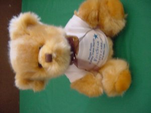 Steven Smith Quality Care Brown Bear Stuffed Plush 7"