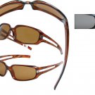 Polarized Basics-Tortoise