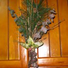 Natural elements ornament