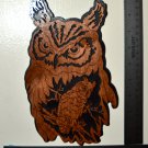 Nature's Majesty owl