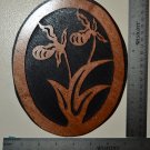 Minnesota Lady Slipper