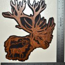 Nature's Majesty Elk