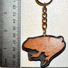 Tree Frog Key Chain