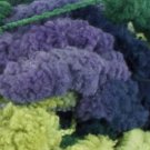 "African Violet"