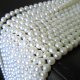 Genuine Fresh Water Pearl