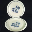 Set of 2 Pfaltzgraff YORKTOWNE Dinner Plates 10"