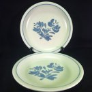 Vintage castle York  Pfaltzgraff Yorktowne, lot of 2 Luncheon plates RARE!