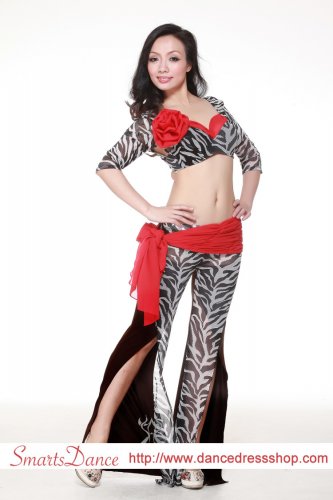 Smarts Dance Womens sexy Belly Dance Costume Dress Gowns&iuml;&frac14;�BTE-LL6