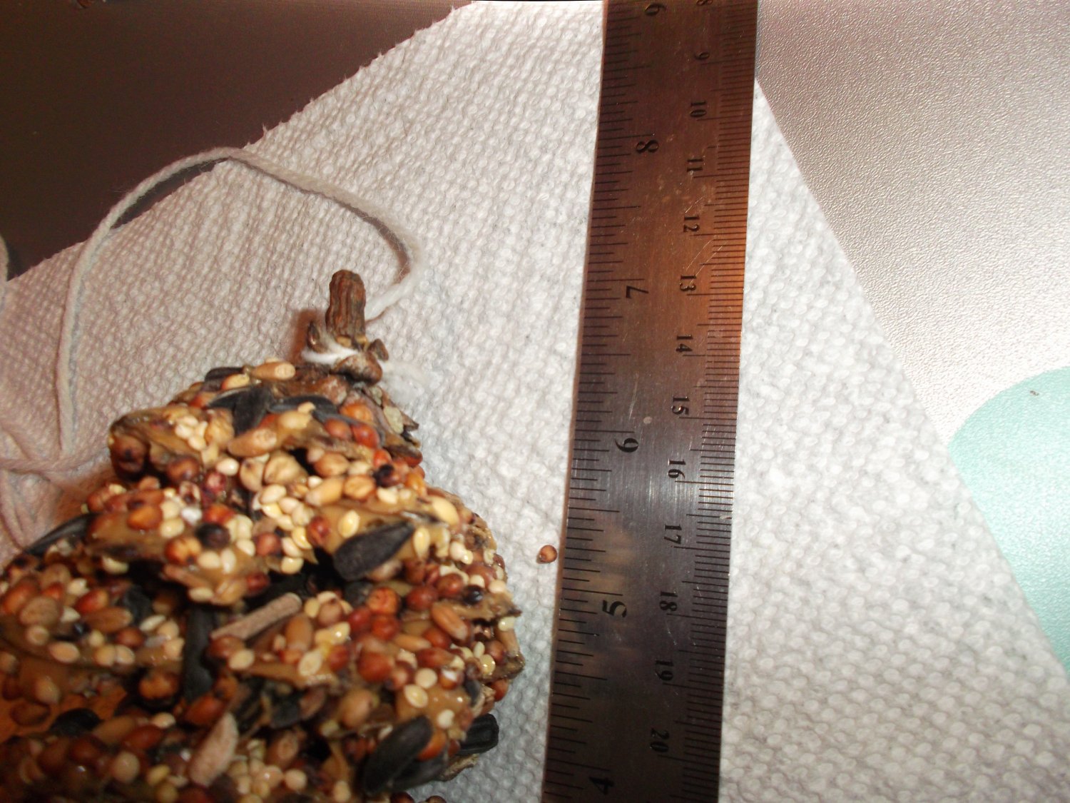 Handmade Peanut Butter & Bird Seed Pine Cone Feeder