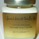 Handmade All Natural SOY wick Candle 9 oz. - YOU Pick the Fragrance! Candles