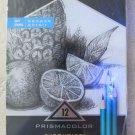Prismacolor Premier 12 Sketching pencils in case SOFT Turquoise art sketch draw